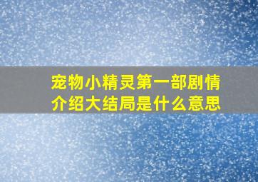 宠物小精灵第一部剧情介绍大结局是什么意思