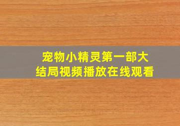 宠物小精灵第一部大结局视频播放在线观看