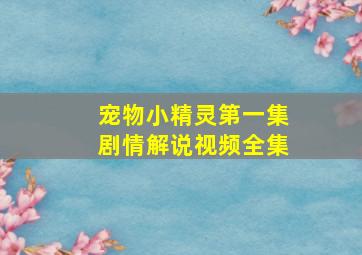 宠物小精灵第一集剧情解说视频全集