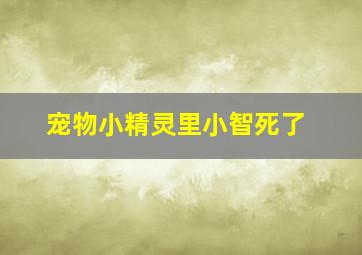 宠物小精灵里小智死了