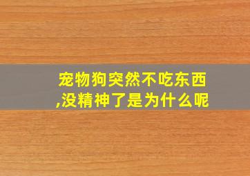 宠物狗突然不吃东西,没精神了是为什么呢