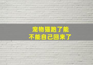 宠物猫跑了能不能自己回来了