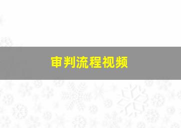 审判流程视频