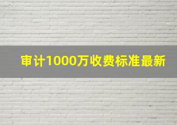 审计1000万收费标准最新