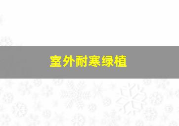 室外耐寒绿植