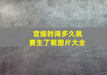 宫缩时间多久就要生了呢图片大全