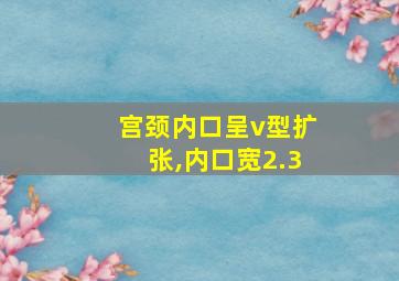 宫颈内口呈v型扩张,内口宽2.3