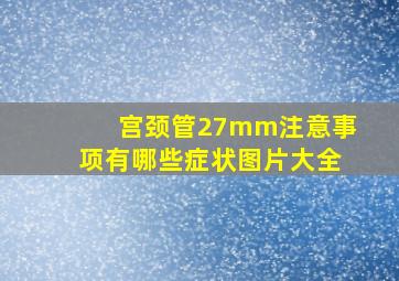 宫颈管27mm注意事项有哪些症状图片大全