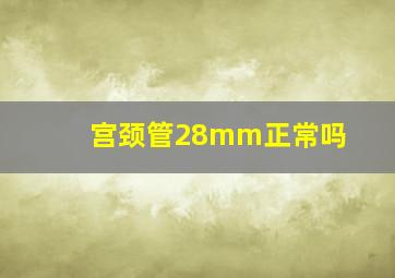 宫颈管28mm正常吗