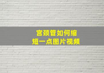 宫颈管如何缩短一点图片视频