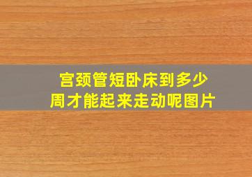 宫颈管短卧床到多少周才能起来走动呢图片