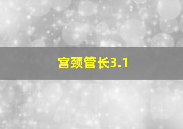 宫颈管长3.1