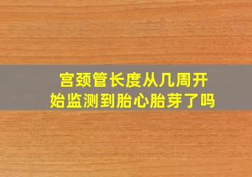 宫颈管长度从几周开始监测到胎心胎芽了吗