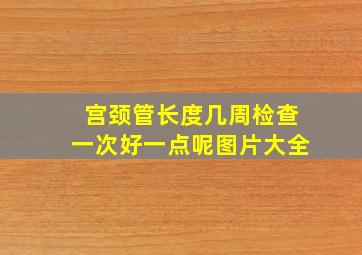 宫颈管长度几周检查一次好一点呢图片大全