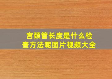 宫颈管长度是什么检查方法呢图片视频大全