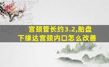 宫颈管长约3.2,胎盘下缘达宫颈内口怎么改善