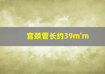 宫颈管长约39m'm