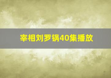 宰相刘罗锅40集播放