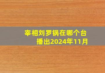 宰相刘罗锅在哪个台播出2024年11月