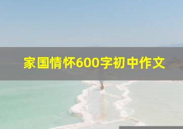 家国情怀600字初中作文