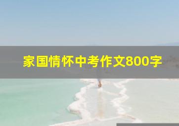 家国情怀中考作文800字