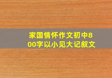 家国情怀作文初中800字以小见大记叙文