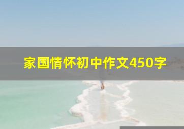 家国情怀初中作文450字