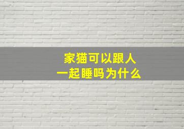 家猫可以跟人一起睡吗为什么