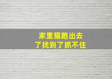 家里猫跑出去了找到了抓不住