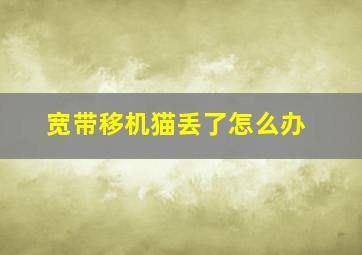 宽带移机猫丢了怎么办