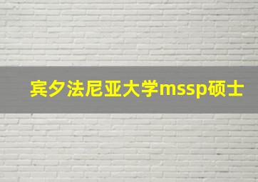 宾夕法尼亚大学mssp硕士