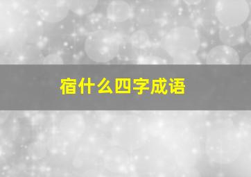 宿什么四字成语