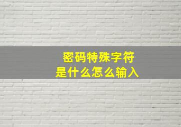 密码特殊字符是什么怎么输入