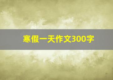 寒假一天作文300字