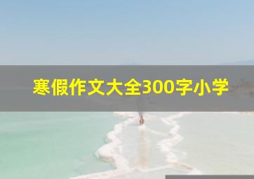 寒假作文大全300字小学