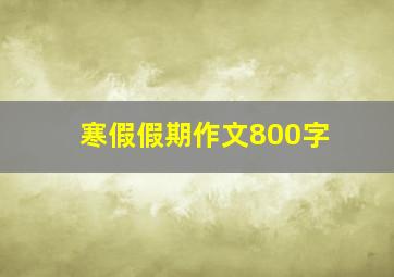 寒假假期作文800字