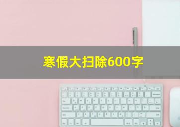 寒假大扫除600字