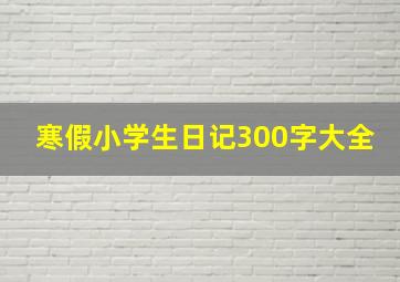 寒假小学生日记300字大全