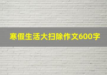 寒假生活大扫除作文600字