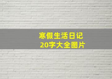 寒假生活日记20字大全图片