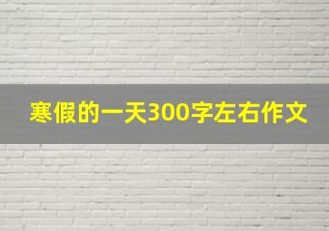 寒假的一天300字左右作文