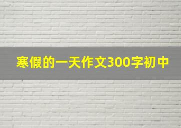 寒假的一天作文300字初中