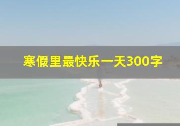 寒假里最快乐一天300字