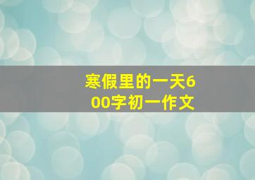 寒假里的一天600字初一作文