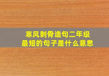 寒风刺骨造句二年级最短的句子是什么意思