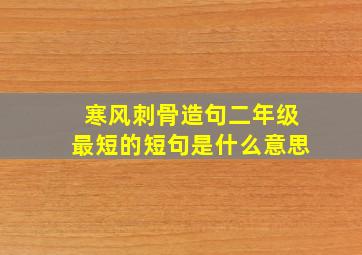 寒风刺骨造句二年级最短的短句是什么意思