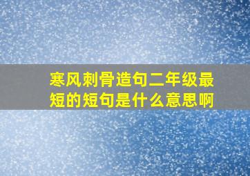 寒风刺骨造句二年级最短的短句是什么意思啊