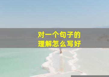 对一个句子的理解怎么写好