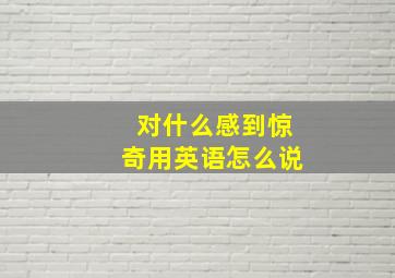 对什么感到惊奇用英语怎么说