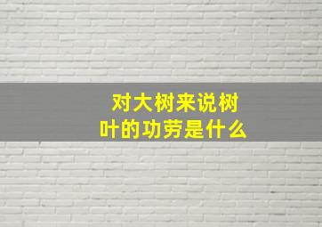 对大树来说树叶的功劳是什么